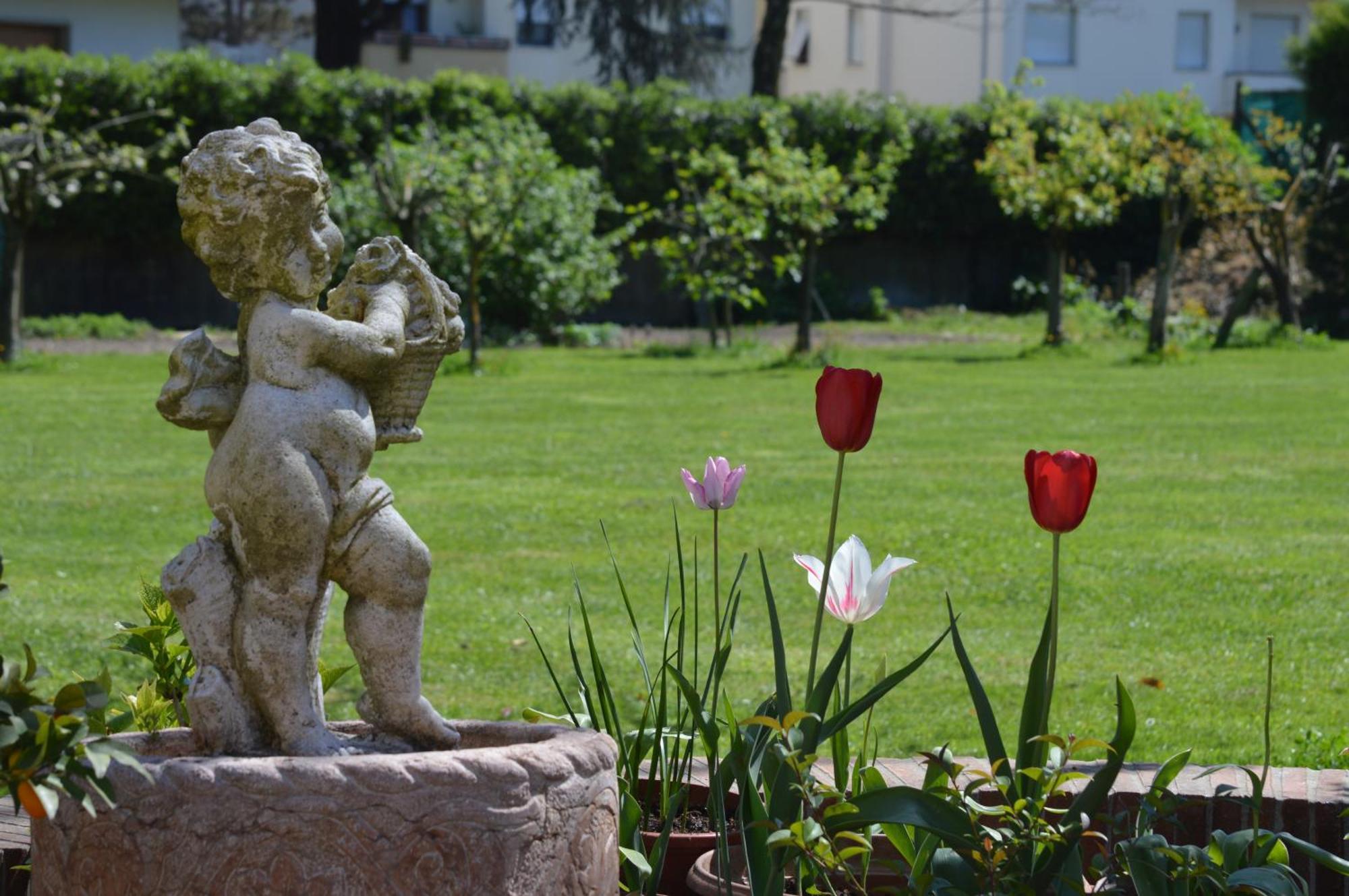 Villa Camilla - Tiny - Exclusive Pool Lukka Zewnętrze zdjęcie